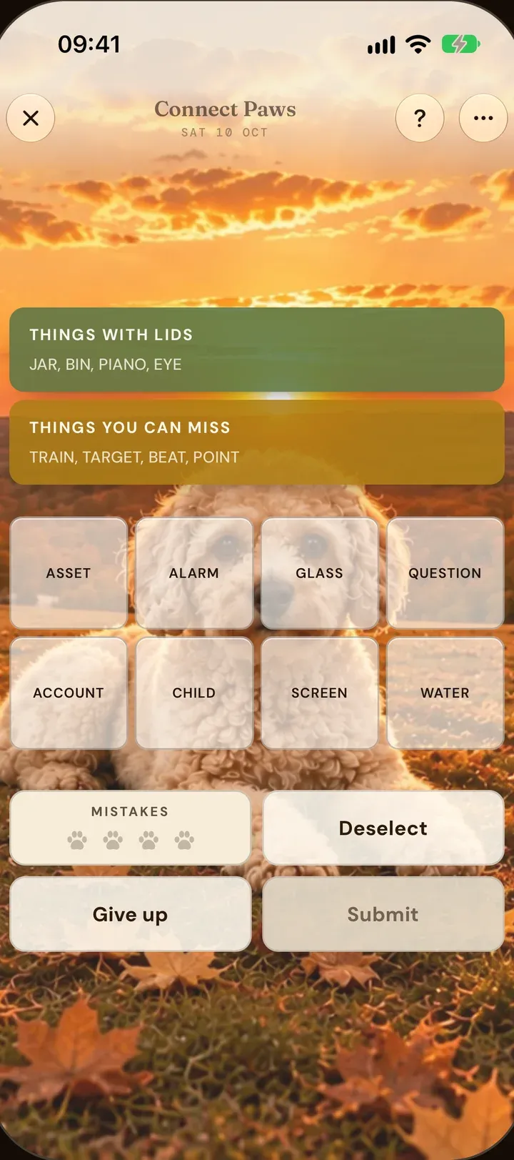 Connect Paws: sixteen words to sort into four groups