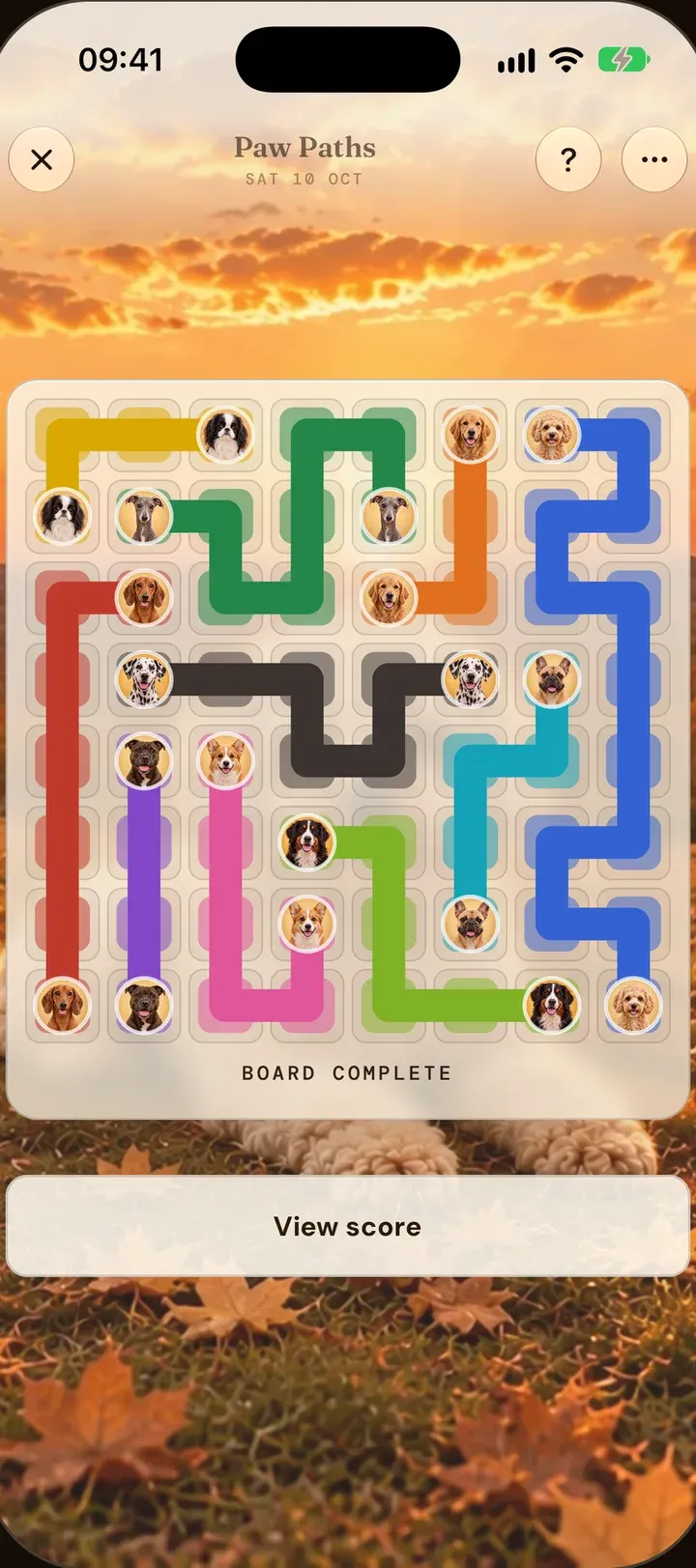 Paw Paths: coloured paths joining matching dog portraits